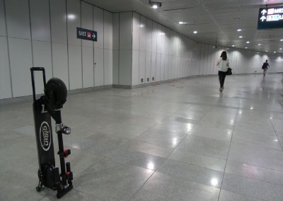 Electric Scooter G329