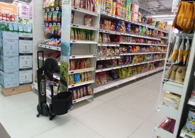 Electric Scooter G485