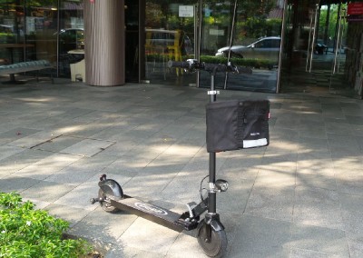 Electric Scooter G486