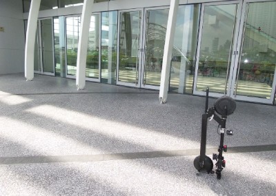 portable electric scooter 220