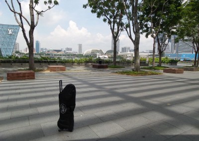 portable electric scooter 231